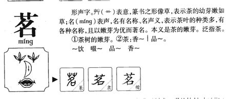 茗字五行|茗字的含义及五行属性(解读茗字取名的寓意) 